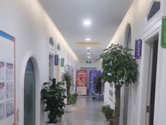 -童程童美少儿编程乐高机器人(浦口校区)