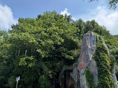 -青峰峡国家森林公园