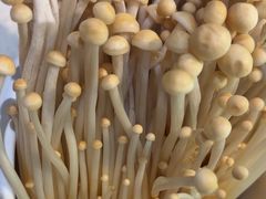 -九孔·筒骨莲藕汤锅(大明宫万达店)