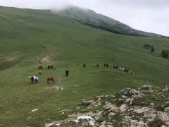 -灵山