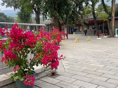 -红螺寺