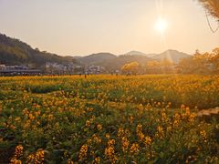 -红山村