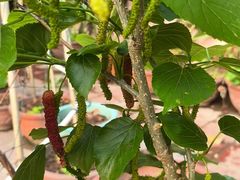 -润足坊足浴(枋湖双十店)