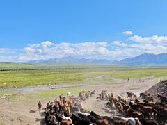 -山丹皇家马场