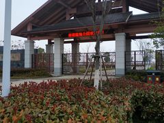-南湖湿地公园