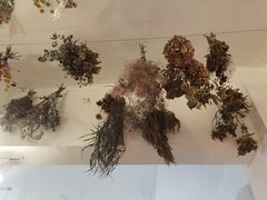 -知物癖(牛王庙店)