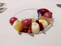甜菜根-Odette