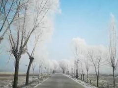 -雾凇岛