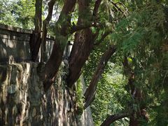 -香山公园