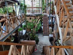 -Rainforest
