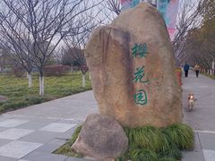 -高东镇樱花园