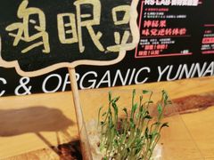 -饵块食光·云南有机手作饵块