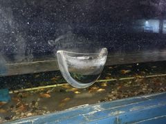 -苏州海洋馆