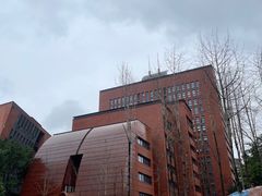 -黄桷坪涂鸦艺术街