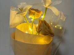 -循礼门鲜花花市(武汉循礼门店)