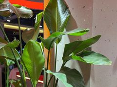 -遇西祠·海鲜烧烤(总店)