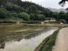 -韶山毛泽东同志故居