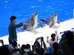 -石家庄极地海洋世界