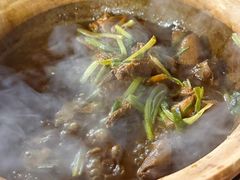 -霞姐屯昌枫木香草鸭店(海螺店)