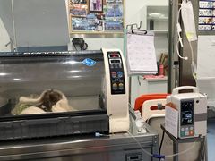 -伟伟宠物医院·CT影像中心·瑞派犬猫综合性门诊(汉口总院)
