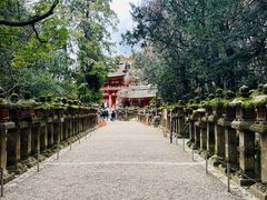 -奈良公园