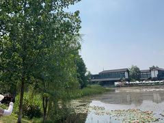 -白鹭湾湿地公园