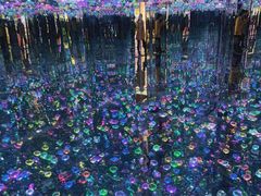 -上海梵高星空艺术馆(南京路旗舰店)