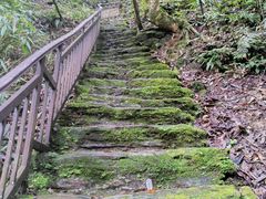 -云南屏边大围山国家公园