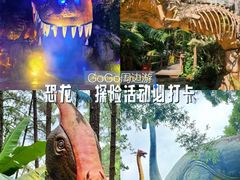 -森波拉奇妙世界