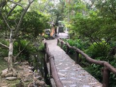 -绿光森林餐厅