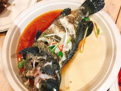 -盒马X会员店(王府井奥莱UP TOWN店)