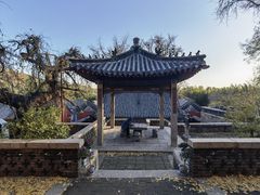 -泰山风景名胜区-普照寺