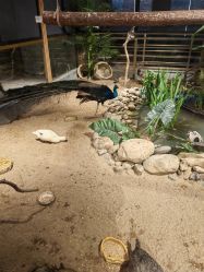 -造物庄园 萌宠纪(苏州湾歌林公园店)