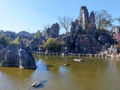 -千岛湖石林