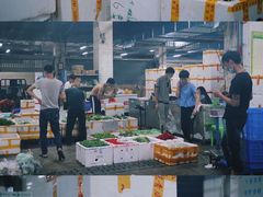 -三亚新鸿港水果一级批发市场