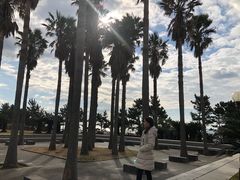 -柱状节理带