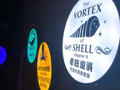 -贝壳梦幻世界