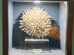 -天津自然博物馆