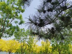 -东郊湿地公园