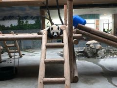 -西安秦岭野生动物园