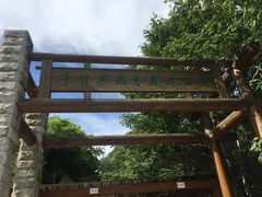 -牛背梁国家森林公园