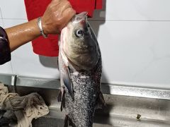 -鱼味馆(万佛湖店)
