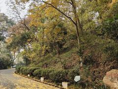 -北极阁公园