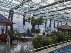 -盛彼得温泉度假酒店