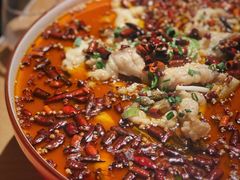 龙胆石斑鱼-滋色臻选川菜(北京坊旗舰店)