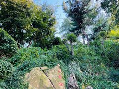 -青岛海滨风景区小鱼山