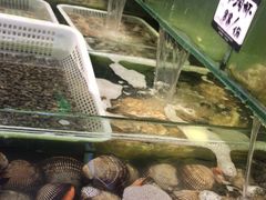 -瑞杰烧烤店·24小时营业(山东路店)