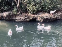 -兰亭风景区