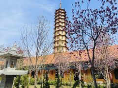 -正觉寺
