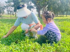 -汉长安城未央宫国家考古遗址公园